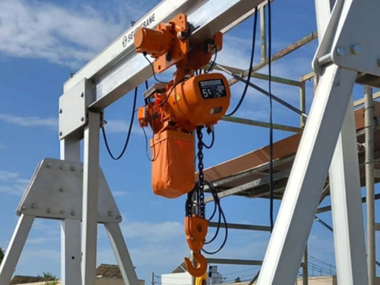 Australia Fixed Electric Chain Hoist Transaction Case